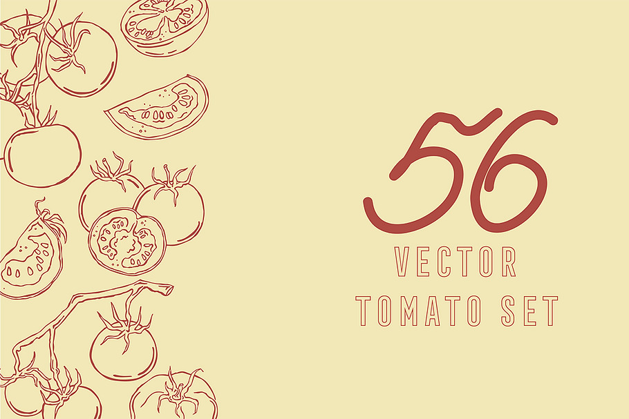 Tomatoes, vector