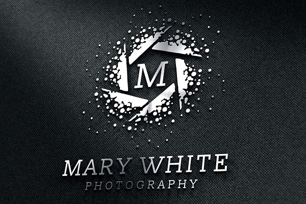Modern Photographer Logo