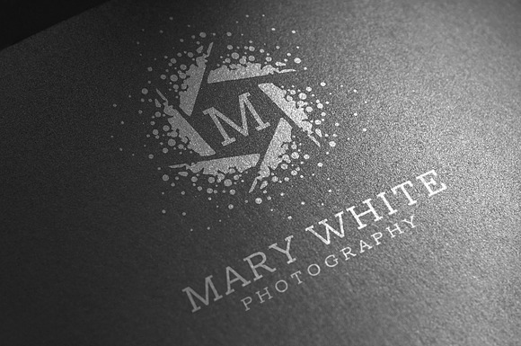Modern Photographer Logo in Logo Templates - product preview 1