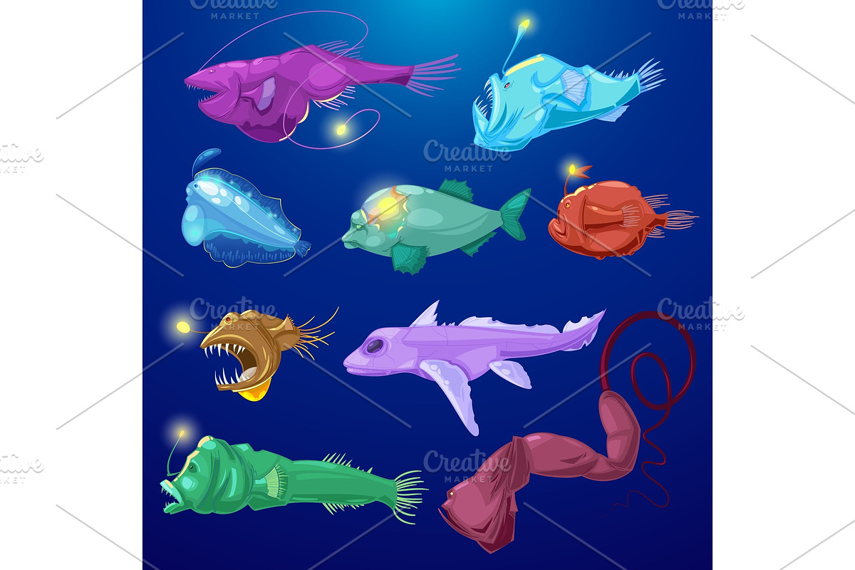 Angler fish vector seafish predator in Illustrations - product preview 8