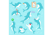 Dolphin vector seafish character