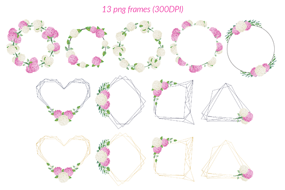 Pink and white hydrangea clipart in Illustrations - product preview 1