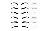 Eyebrow shapes. Various types of