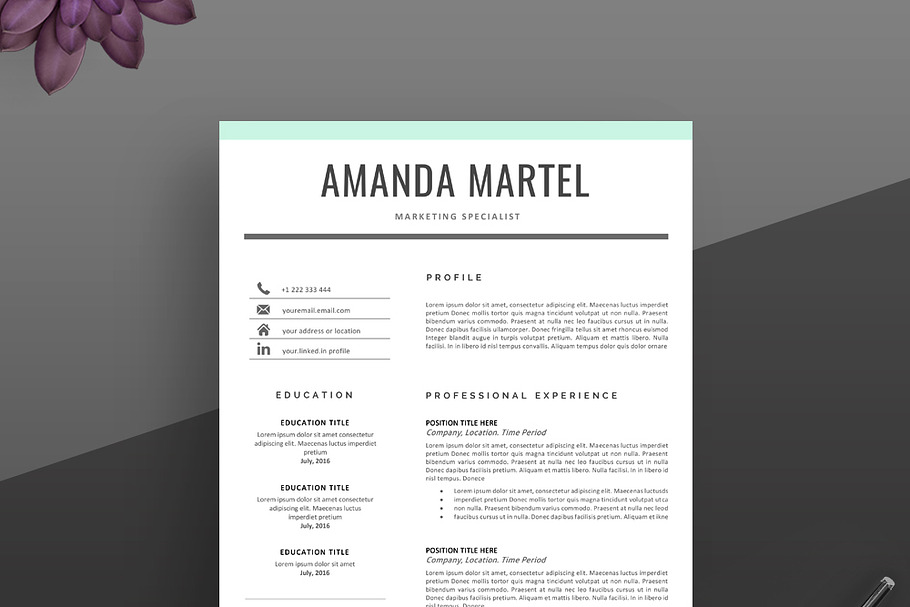 Professional Resume/CV Template in Resume Templates - product preview 8