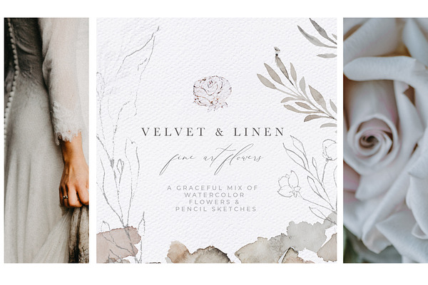 Watercolor Flowers & Illustrations