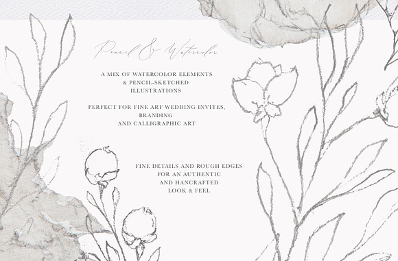 Watercolor Flowers & Illustrations in Illustrations - product preview 4