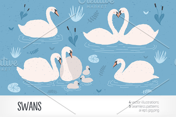 Swans floating in water pond
