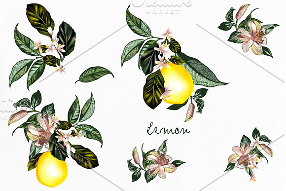 It’s all about lemon. Vector clipart in Objects - product preview 1