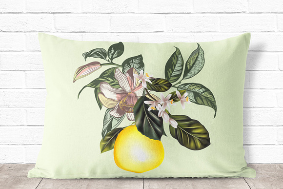 It’s all about lemon. Vector clipart in Objects - product preview 5