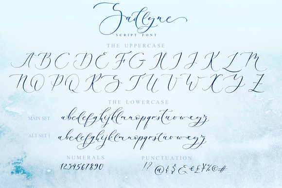Sadlyne calligraphic font & extras in Script Fonts - product preview 13