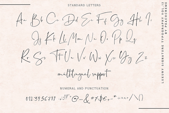 Santorini // Luxury Signature Font in Script Fonts - product preview 24