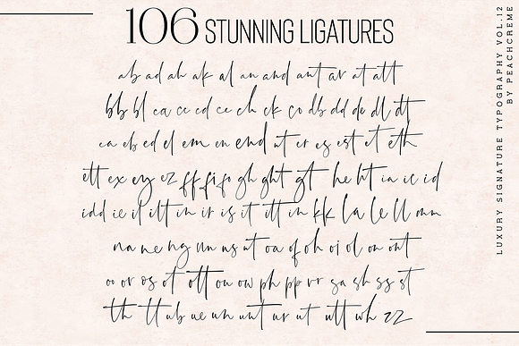 Santorini // Luxury Signature Font in Script Fonts - product preview 25