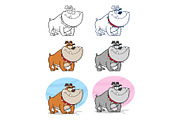 Bulldog Dog Character. Collection