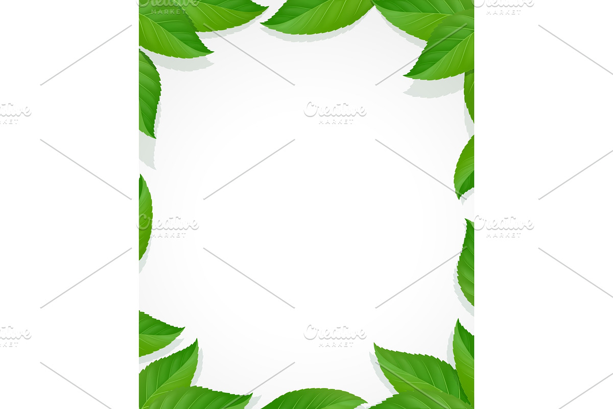 Leaves frame. Green decoration in Illustrations - product preview 8