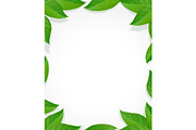 Leaves frame. Green decoration