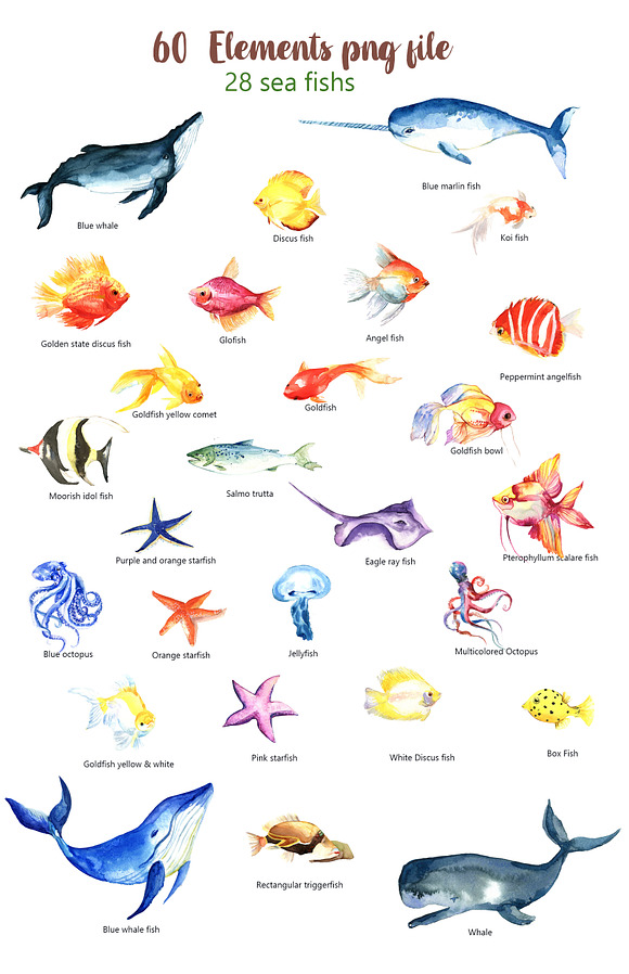 Sea World Watercolor Clipart in Illustrations - product preview 1