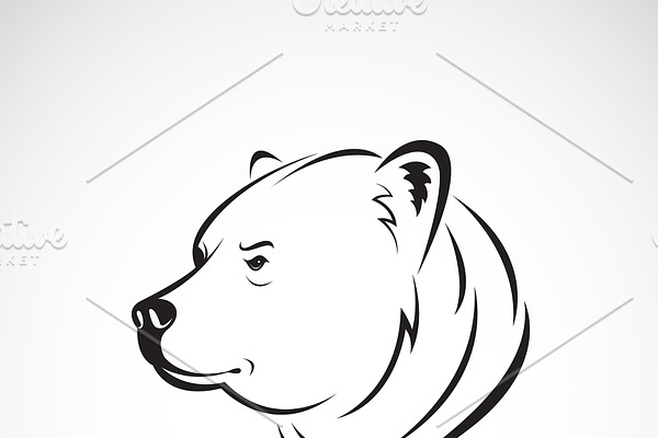 Vector of bear head design.