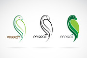 Vector of a parrot design. Bird.