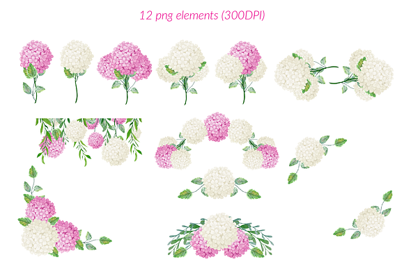 Pink and white hydrangea clipart in Illustrations - product preview 3