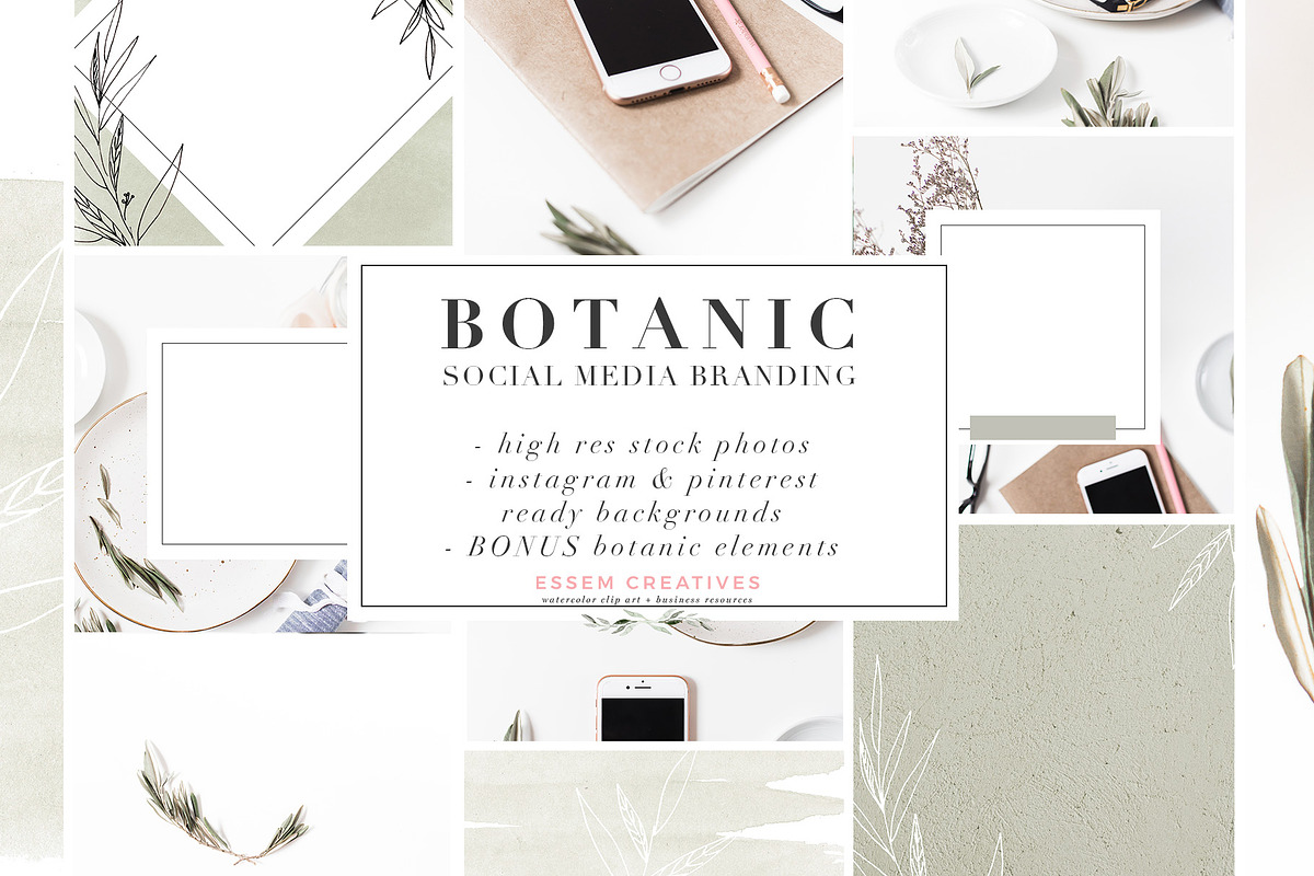 Botanic Neutral Stock Photos Bundle in Instagram Templates - product preview 8