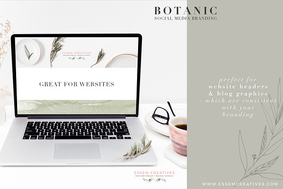Botanic Neutral Stock Photos Bundle in Instagram Templates - product preview 2