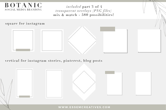 Botanic Neutral Stock Photos Bundle in Instagram Templates - product preview 5