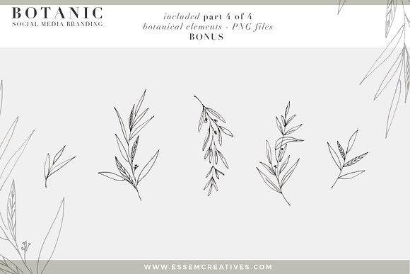Botanic Neutral Stock Photos Bundle in Instagram Templates - product preview 6
