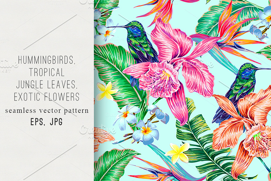 Tropical bird of paradise pattern