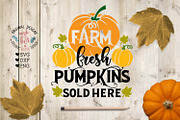 Farm Fresh Pumpkins Sold Here