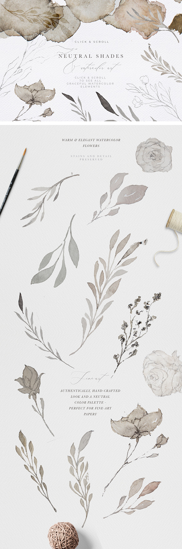 Watercolor Flowers & Illustrations in Illustrations - product preview 7