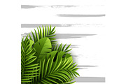 Exotic jungle tropical palm leaves