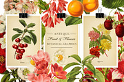 Antique Fruit & Flowers Graphics