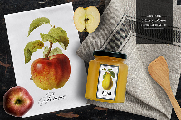 Antique Fruit & Flowers Graphics in Illustrations - product preview 1