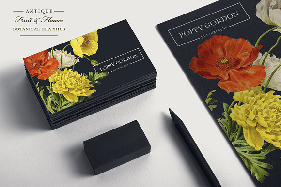 Antique Fruit & Flowers Graphics in Illustrations - product preview 2
