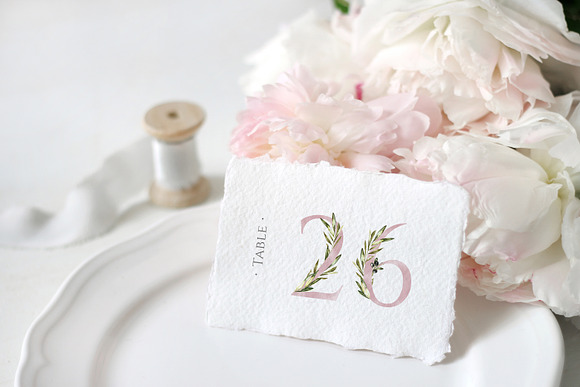 Olive Wedding Botanical Numbers in Illustrations - product preview 3