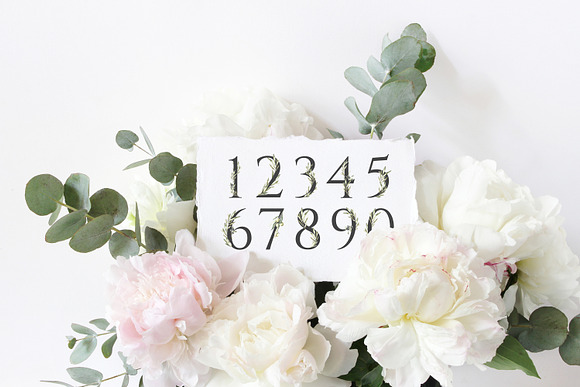 Olive Wedding Botanical Numbers in Illustrations - product preview 4