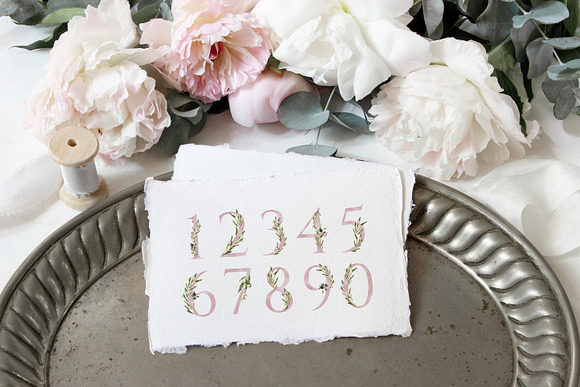 Olive Wedding Botanical Numbers in Illustrations - product preview 6