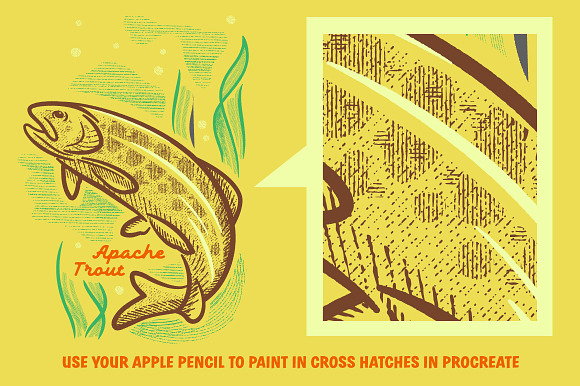 CrossCountry Crosshatchers Procreate in Photoshop Brushes - product preview 1