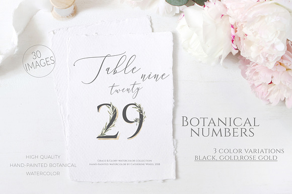 Olive Wedding Botanical Numbers in Illustrations - product preview 8