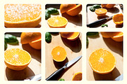 Citrus Photo Bundle | 12 images