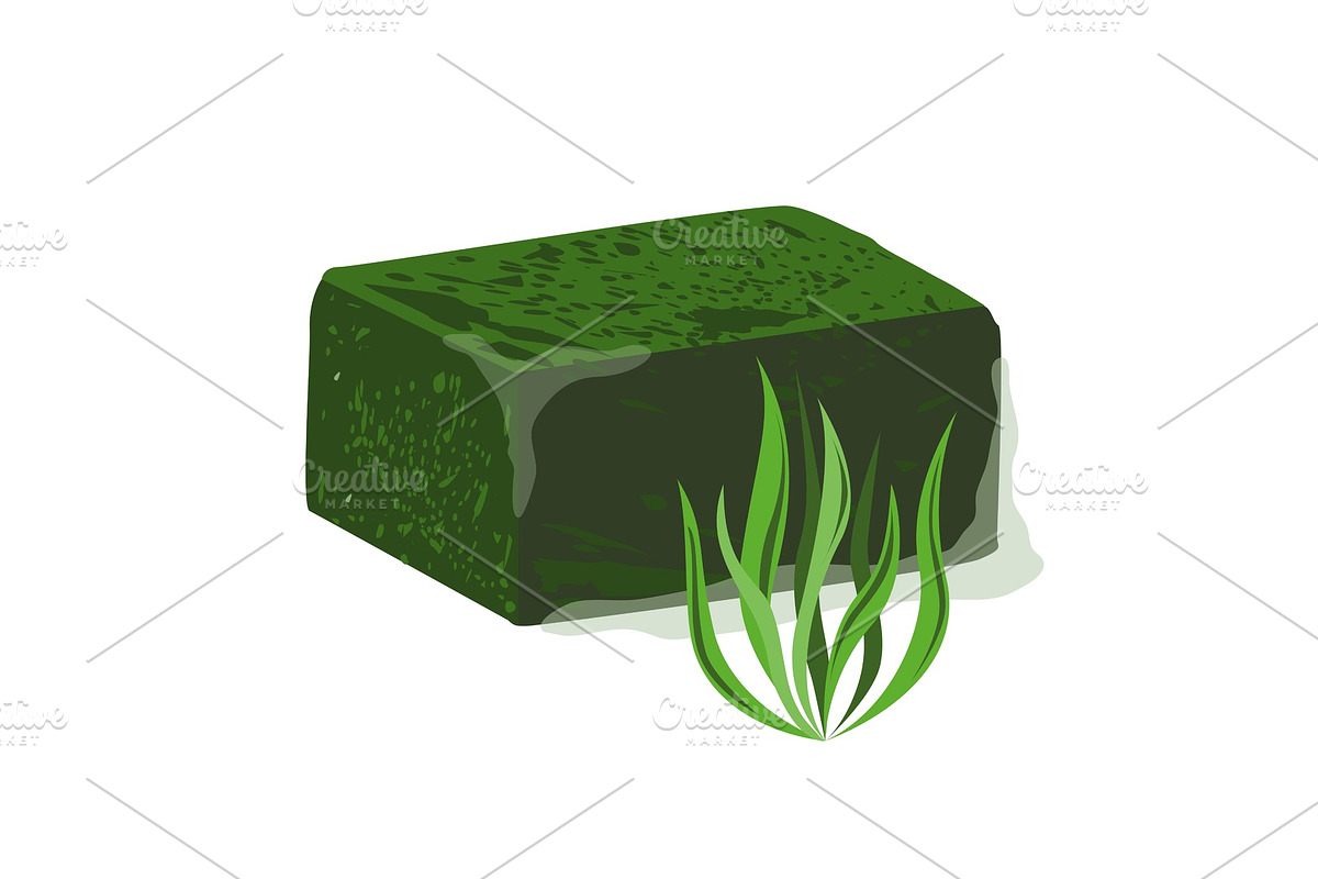 Frozen spirulina block vector in Illustrations - product preview 8