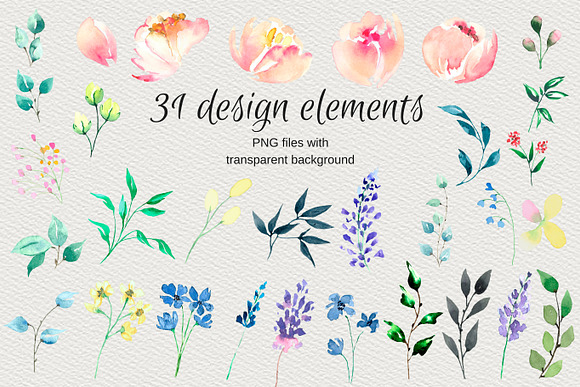 Watercolor clip arts floral set in Illustrations - product preview 3