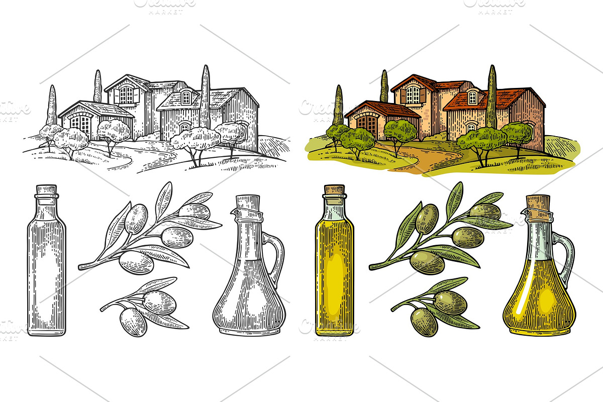Set olive. Bottle glass, branch with in Illustrations - product preview 8
