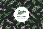 Rosemary plants and blooming flowers