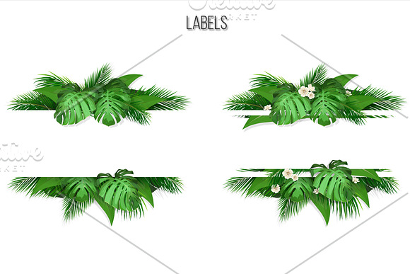 Vector tropical set. in Illustrations - product preview 6