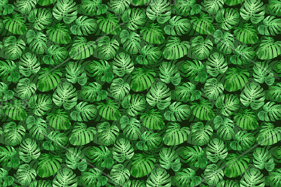 Vector tropical set. in Illustrations - product preview 9