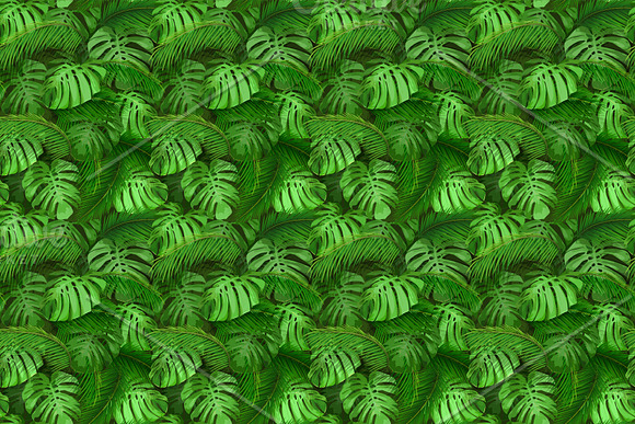 Vector tropical set. in Illustrations - product preview 10