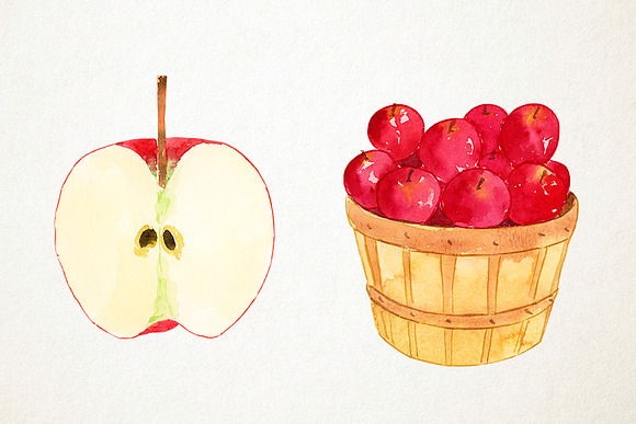 Watercolor Apples Clipart in Illustrations - product preview 3