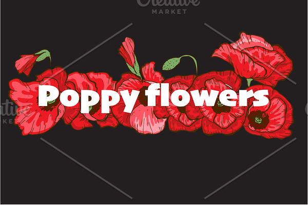 Poppy flowers set maker