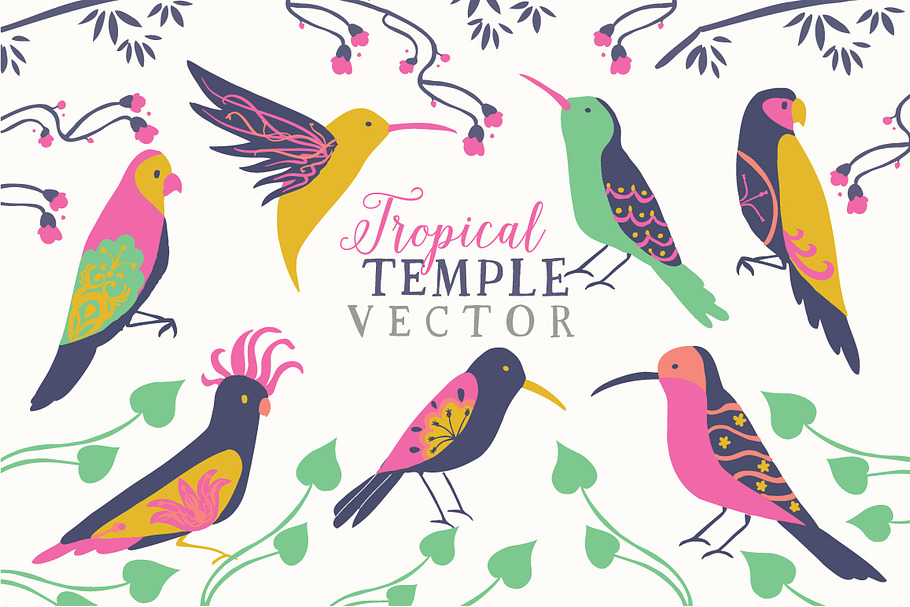 Tropical Birds Vector Clip Art Set